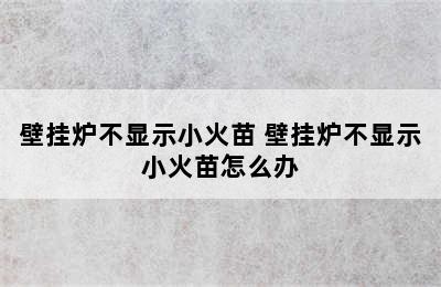 壁挂炉不显示小火苗 壁挂炉不显示小火苗怎么办